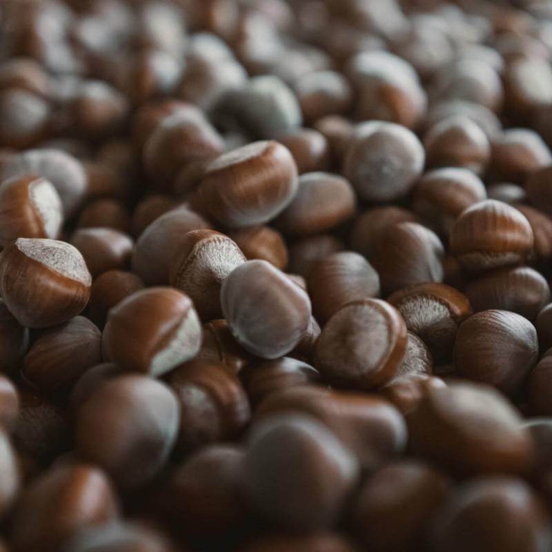 pexels-ahmetyuksek-28119137 pexels-ahmetyuksek-28119137